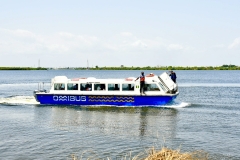 AGE-AFRIQUE-BEACH-PARTY-54